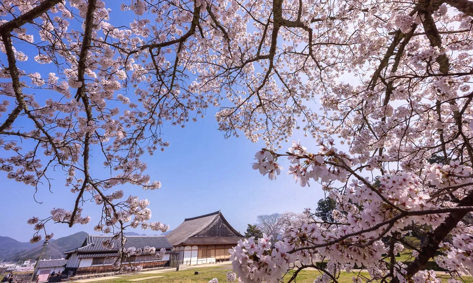 🏯 사사야마 성 대서원(사사야마조 오쇼인) 이미지 7